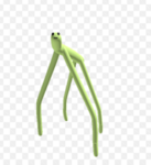 Stick Bug Kingdom
