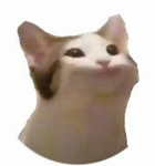 Poper Cat Studios