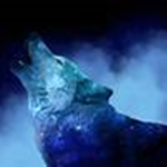 Wild White Wolves