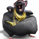 Fatratzz