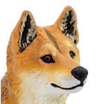The Dingos