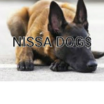 NISA DOG$