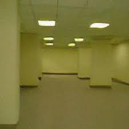 horror backroom