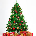 The Christmas way