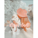 - elliza’s closet -