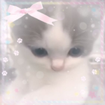 ୨୧ CatBows ୨୧