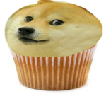 the muffin doge