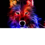 RainbowGames.Inc