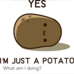 PoTAtOeS ;-;