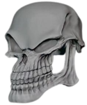 Sceletus