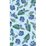the funny blueberry squad