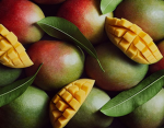 the mangos >:(