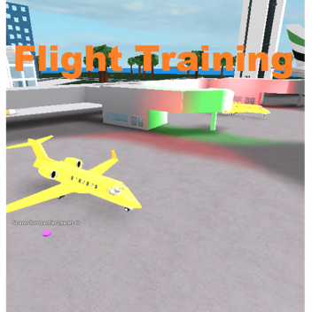 Flight Training (beta) New JET!!!!