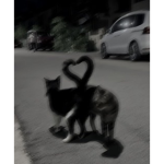 L O V E E