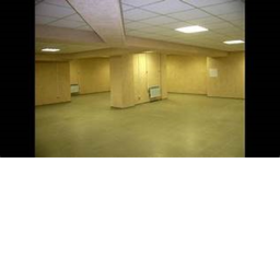the backrooms (beta)