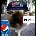 pepsi cat club