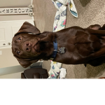 Let's goo eat food?