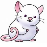 The Junk Rats