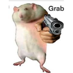 The RATY ROACHES