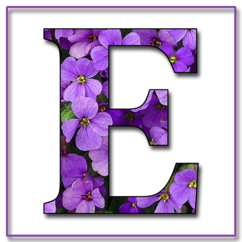 Letter E