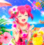 Plumeria Paradise