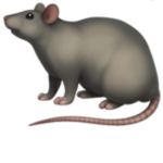 We are rats rats rats rats