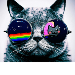 GATITO BIZCO