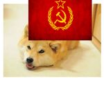 Meme Central!