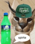 SPRITEMASTERZZZ