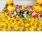 Duck_CuIt