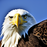 ΜERICA