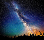 Cosmos Followers