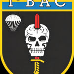 [BAC CENTRO DE OPERAÇÃO DE BATALHA]