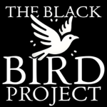 The Black Bird project