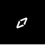 Ninja’s inc