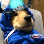 Jax's Giveaways