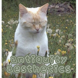 Antiquity Aesthetics Homestore V2