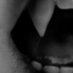 ¨ *.ﾟ