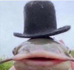 Supreme catfish