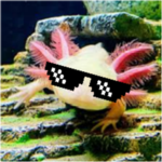 Axolotl Clang