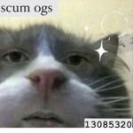 scum ogs