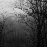 moonless uprising