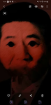 입양부대멤버