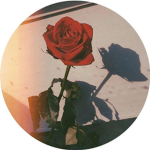 bubbly’s tr0ll group