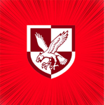 BA - 16th Assault Brigade