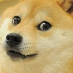 Doge Battles