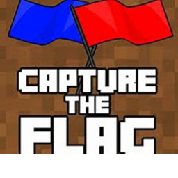 [Capture The Flag]