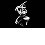 THE AMAZING NINJAS!!!!