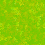 Ro-Cord