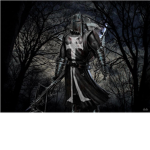 Warriors Sky Clan